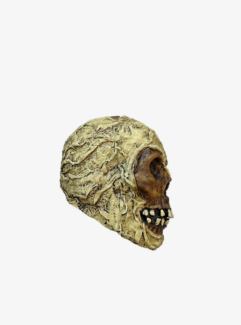 Decorative Mummy Skull