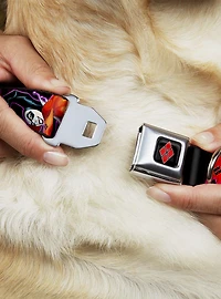 DC Comics Harley Quinn Black Purple Red Seatbelt Buckle Dog Collar