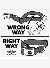 Supernatural Devils Trap Pentagrams Seatbelt Buckle Dog Collar