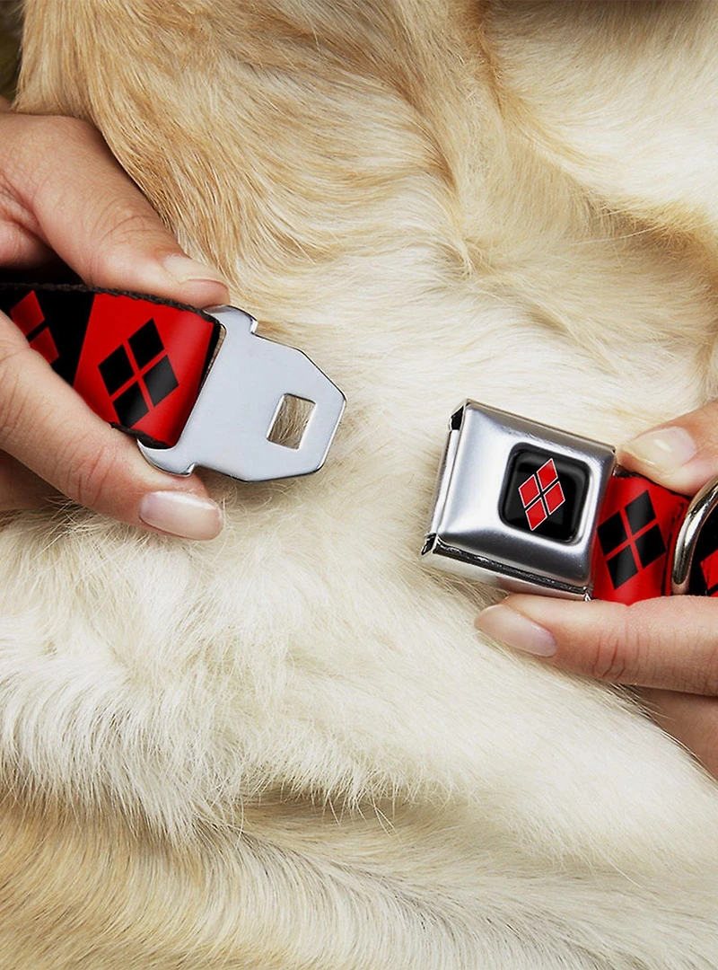DC Comics Harley Quinn Diamond Blocks Seatbelt Buckle Dog Collar