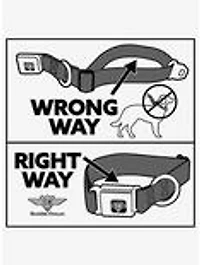 Star Wars C3PO Wires Bounding Seatbelt Buckle Dog Collar