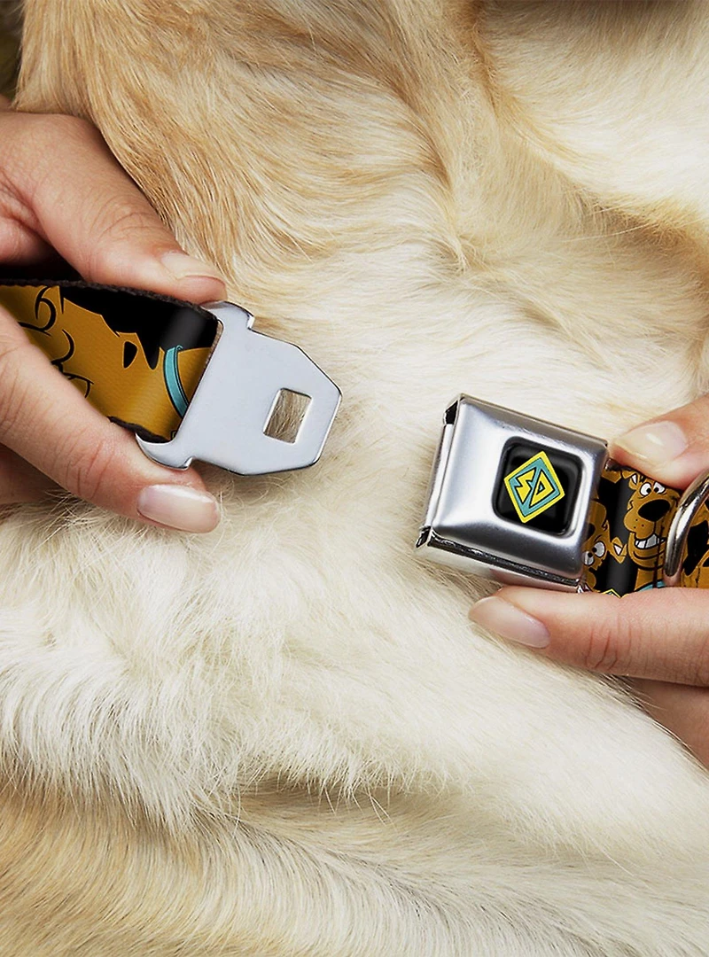 Scooby-Doo! Stacked Close Up Black Seatbelt Buckle Dog Collar