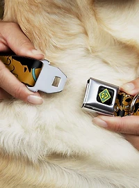 Scooby-Doo! Stacked Close Up Black Seatbelt Buckle Dog Collar
