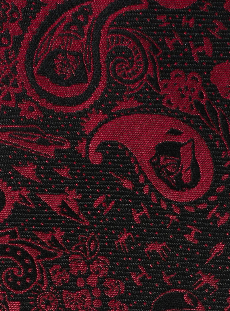 Star Wars Darth Vader Paisley Black and Red Men's Tie