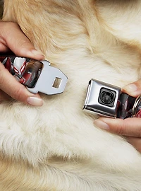 Marvel Spider-Man 6 Spider Hero Action Poses Seatbelt Buckle Dog Collar