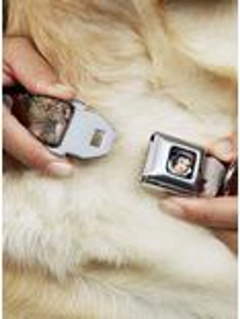 Disney Snow White And The Seven Dwarfs Scenes Seatbelt Buckle Pet Collar