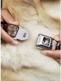 Disney Snow White And The Seven Dwarfs Scenes Seatbelt Buckle Pet Collar