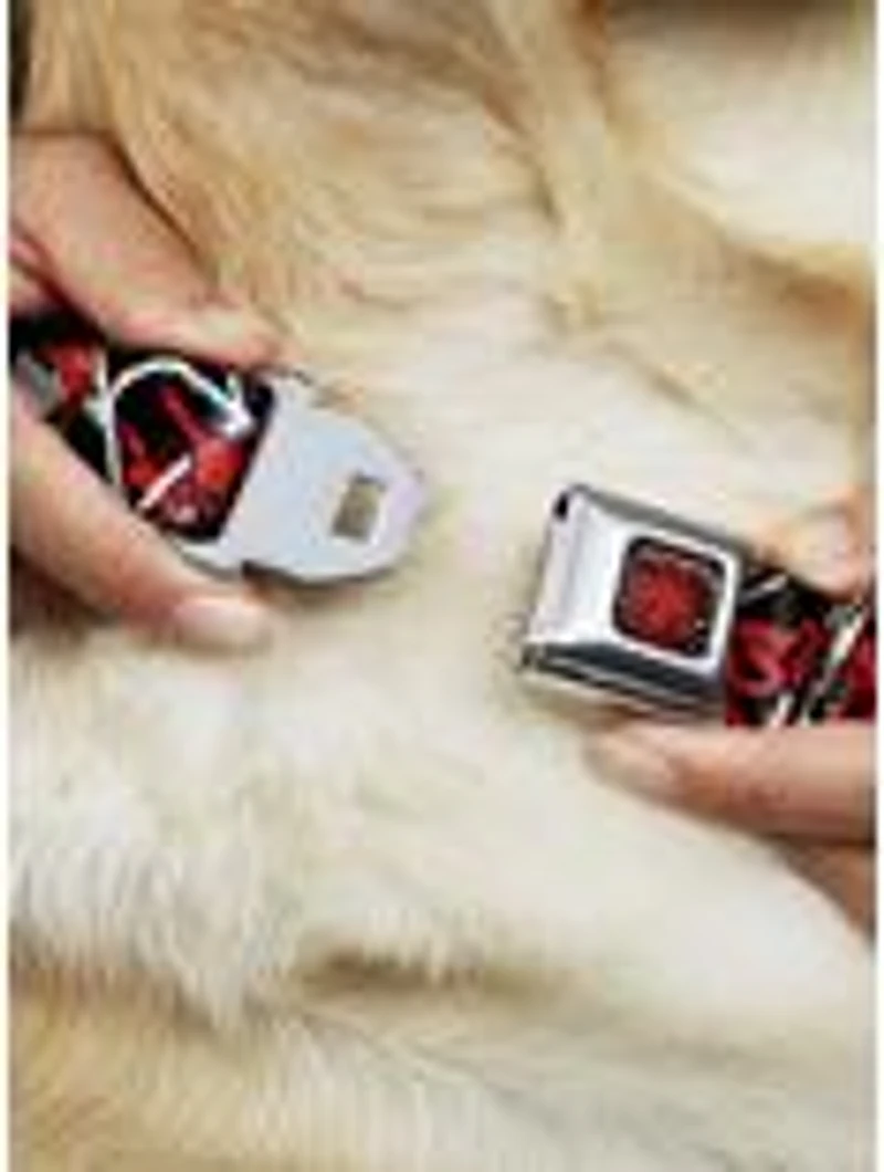 Marvel Spider-Man Spider Web Sketch Seatbelt Buckle Pet Collar