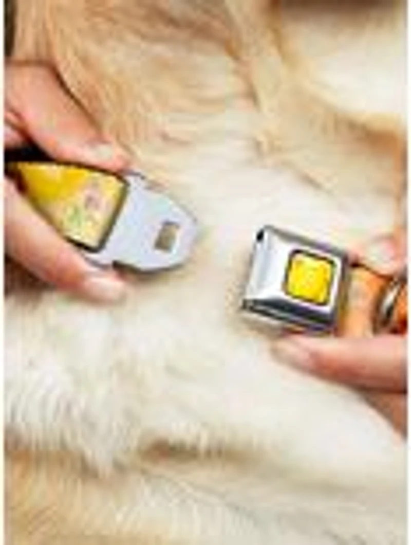 Disney Beauty And The Beast Enchanted Rose Story Script Seatbelt Buckle Pet Collar