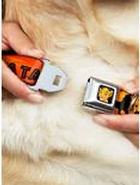 Disney The Lion King Hakuna Matata Sunset Seatbelt Buckle Pet Collar