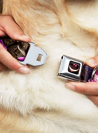 Disney Alice Wonderland Cheshire Cat Tree Poses Seatbelt Buckle Dog Collar