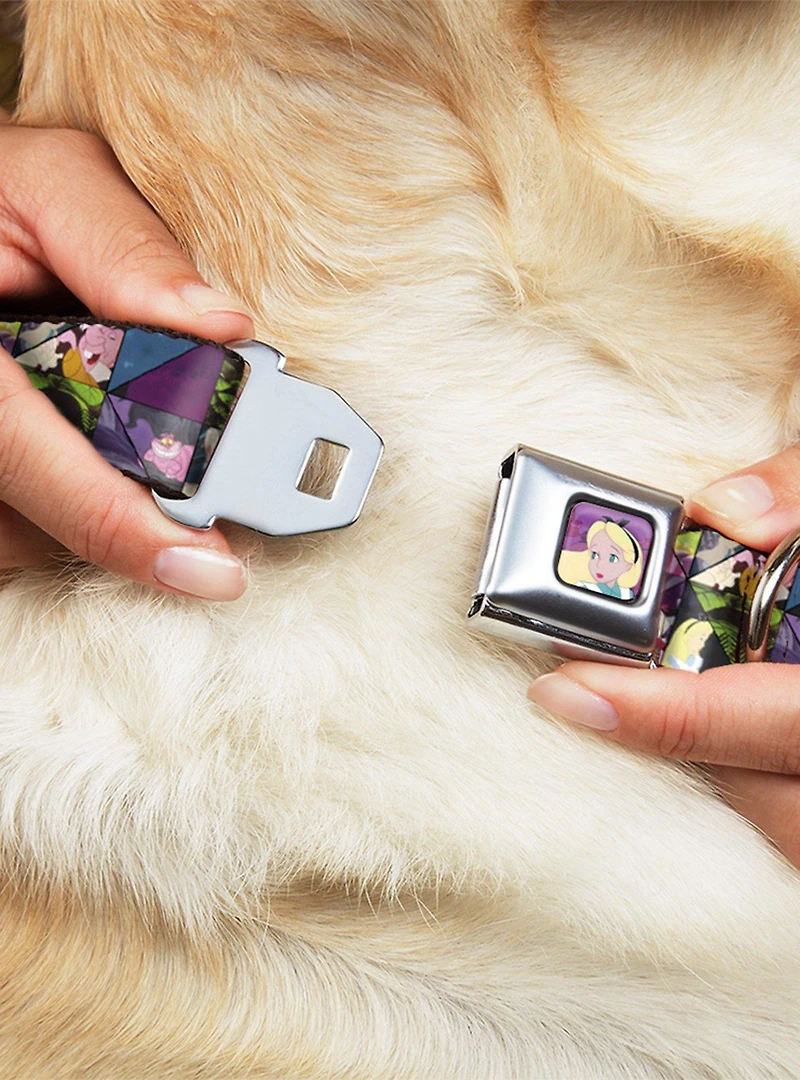 Disney Alice Wonderland Kaleidoscope Scenes Seatbelt Buckle Dog Collar