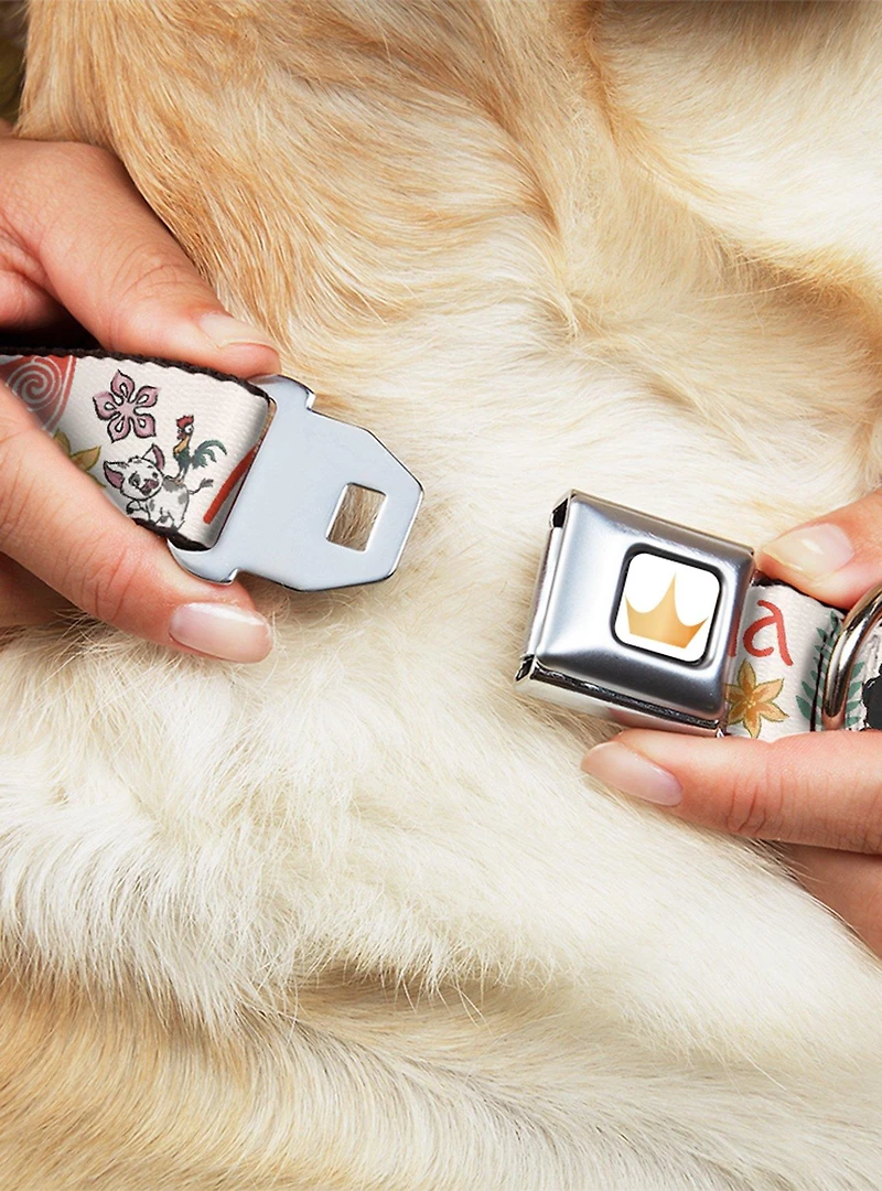 Disney Moana With Pua And Hei Sail Pose Seatbelt Buckle Dog Collar