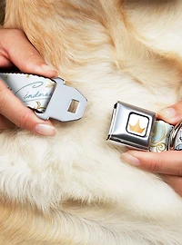 Disney Princess Cinderella Pumpkin Coach And Mice Seatbelt Buckle Dog Collar