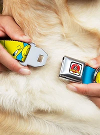 Looney Tunes Tweety Bird Close Up Baby Blue Seatbelt Buckle Dog Collar