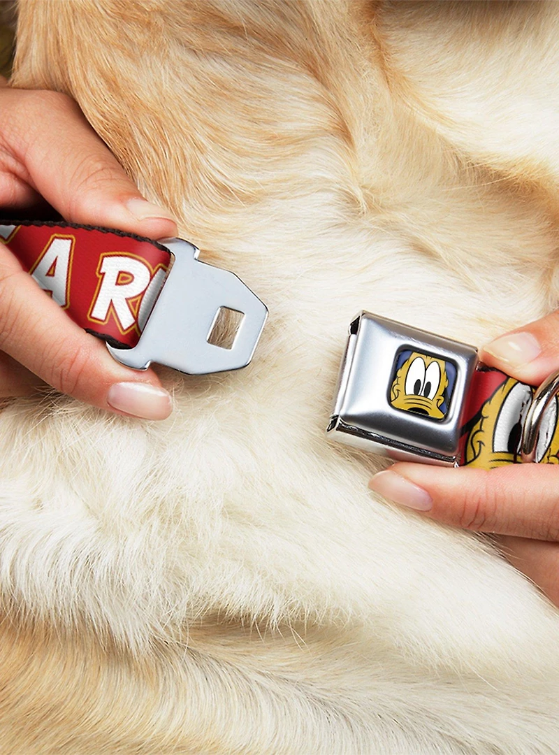 Disney Pluto Its A Ruff Life Seatbelt Buckle Dog Collar