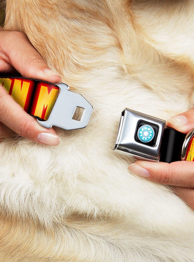 Marvel Iron Man I Am Seatbelt Buckle Dog Collar
