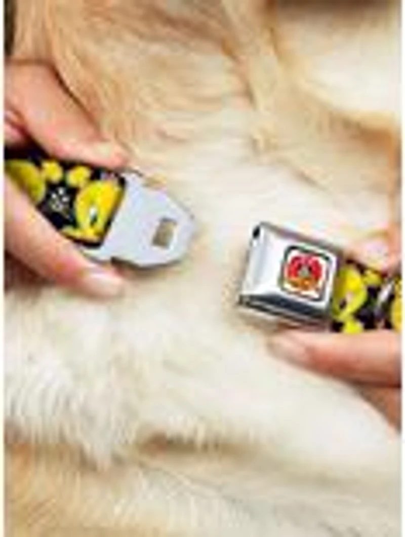Looney Tunes Tweety Bird Crossbones Seatbelt Buckle Dog Collar