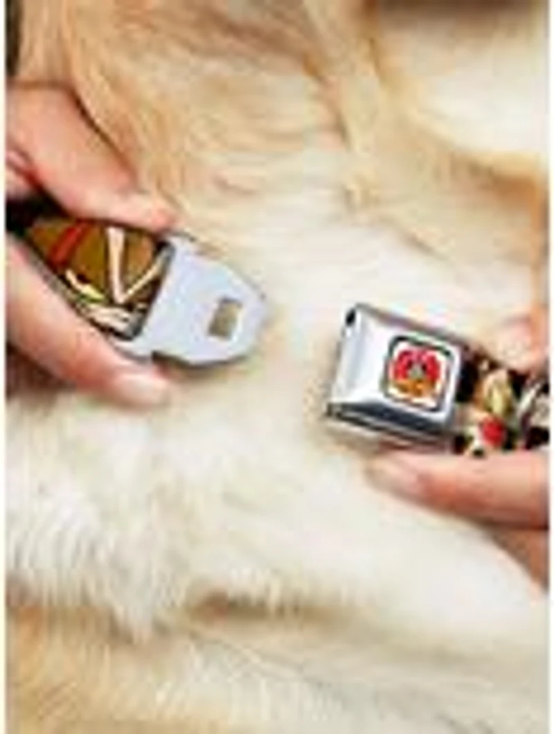 Looney Tunes Wile E Coyote Black Seatbelt Buckle Dog Collar