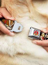 Looney Tunes Wile E Coyote Black Seatbelt Buckle Dog Collar