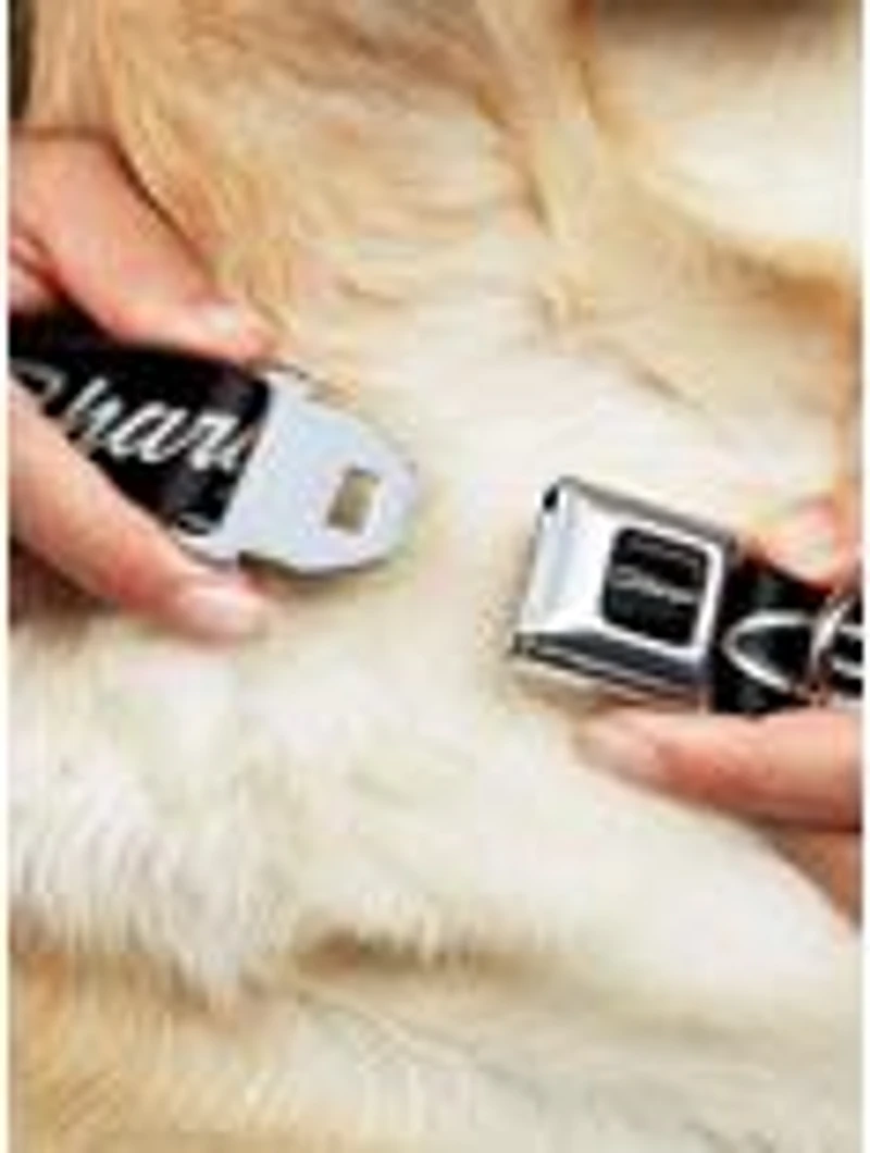 Charger Script Emblem Corner Seatbelt Buckle Dog Collar