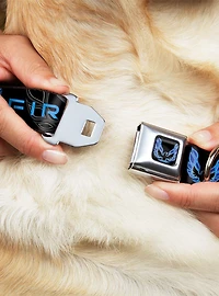 Pontiac Firebird Logo Seatbelt Buckle Dog Collar