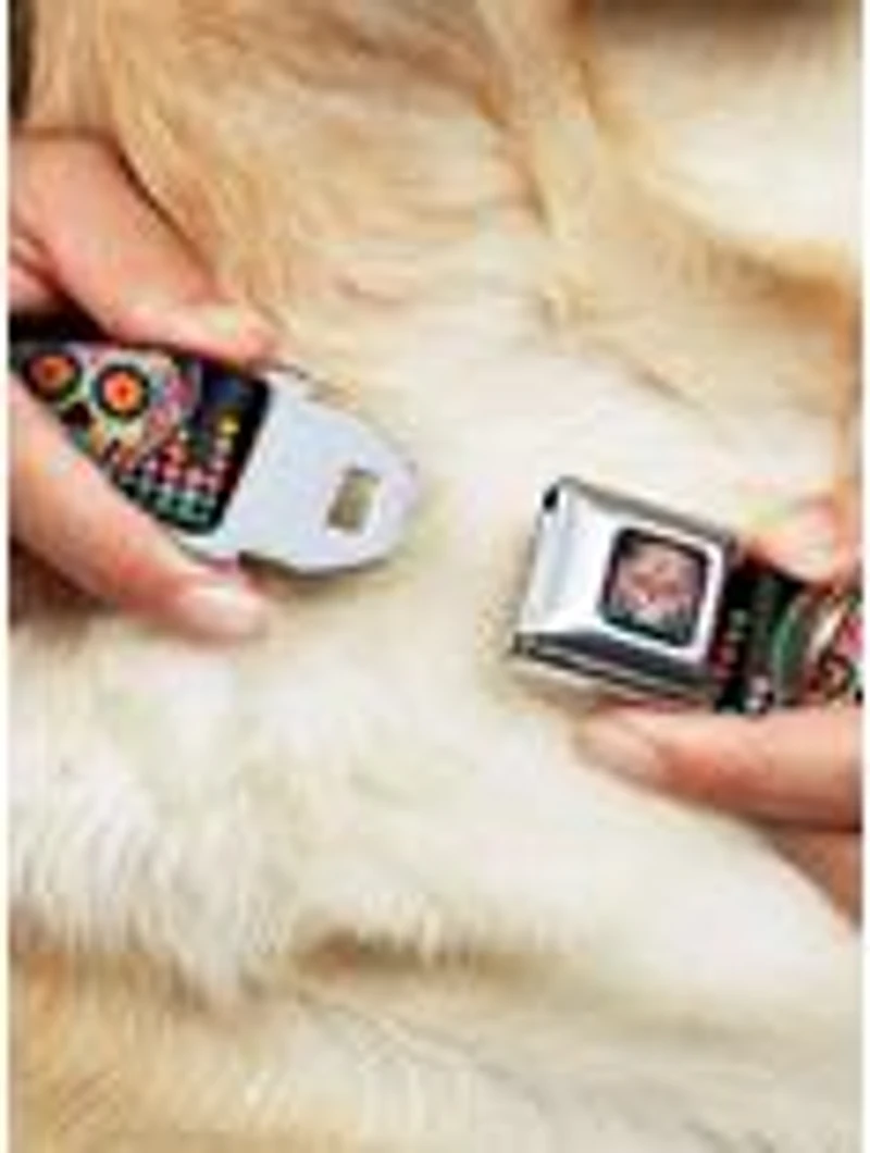 Tranquility Beats Calaveras Seatbelt Buckle Dog Collar