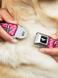 Ford Mustang Bars Text Pink Logo Repeat Seatbelt Buckle Dog Collar