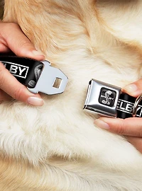 Shelby Box Logo And Super Snake Cobra Seatbelt Buckle Dog Collar