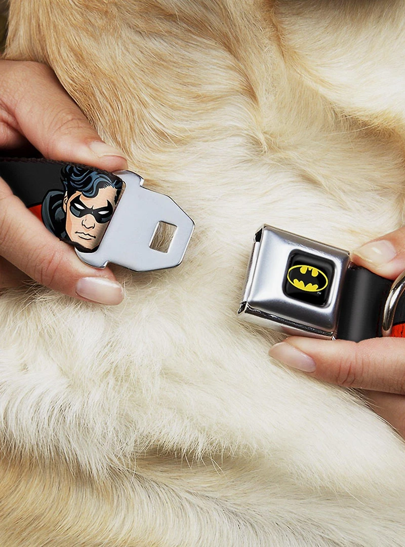 DC Comics Justice League Robin Seatbelt Buckle Dog Collar