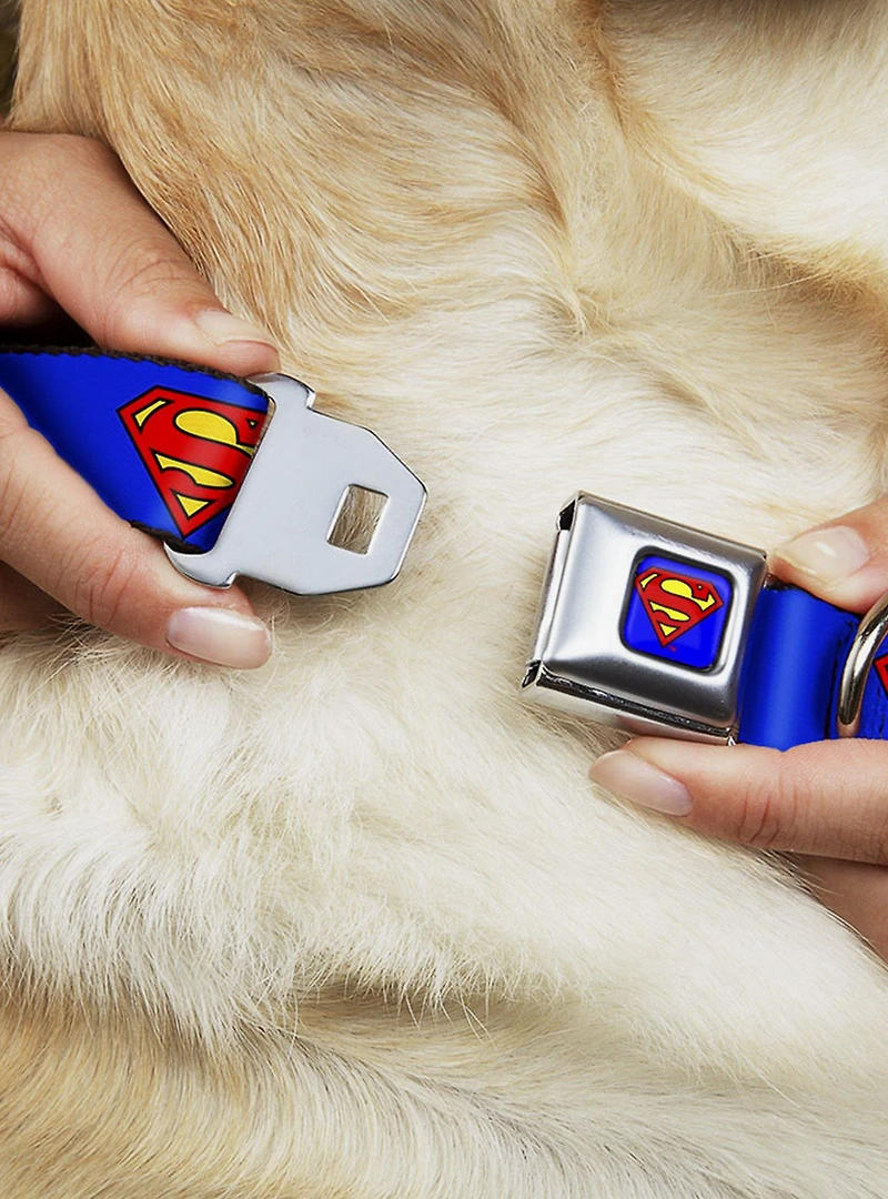 DC Comics Justice League Superman Shield Blue Seatbelt Buckle Dog Collar