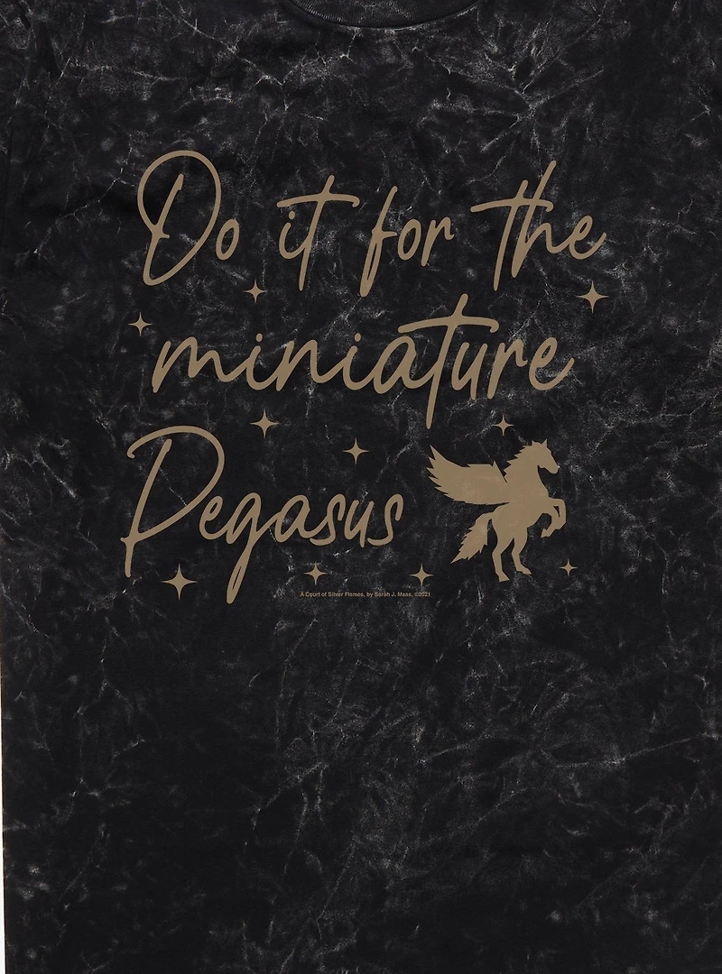 A Court Of Silver Flames Do It For The Miniature Pegasus Mineral Wash T-Shirt