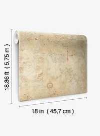 Game of Thrones Map Tan Peel & Stick Wallpaper