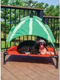 BigMouth Elevated Dog Bed Watermelon