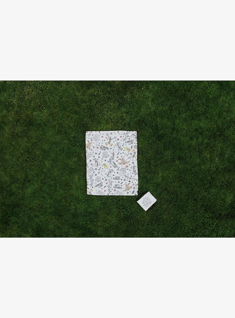 Looney Tunes Impresa Picnic Blanket