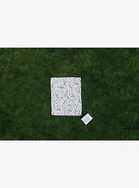 Looney Tunes Impresa Picnic Blanket