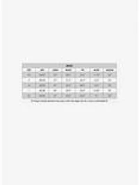 DC Comics The Flash Adult Costume