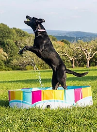 Rainbow Hard Side Dog Pool