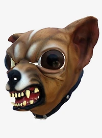 Dog Chihuahua Mask