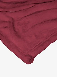 Scooby-Doo! Groovy Holidays Silk Touch Throw Blanket