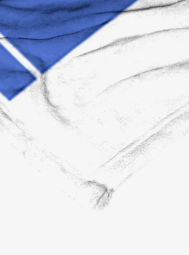 The Polar Express A Magical Journey Silk Touch Throw Blanket