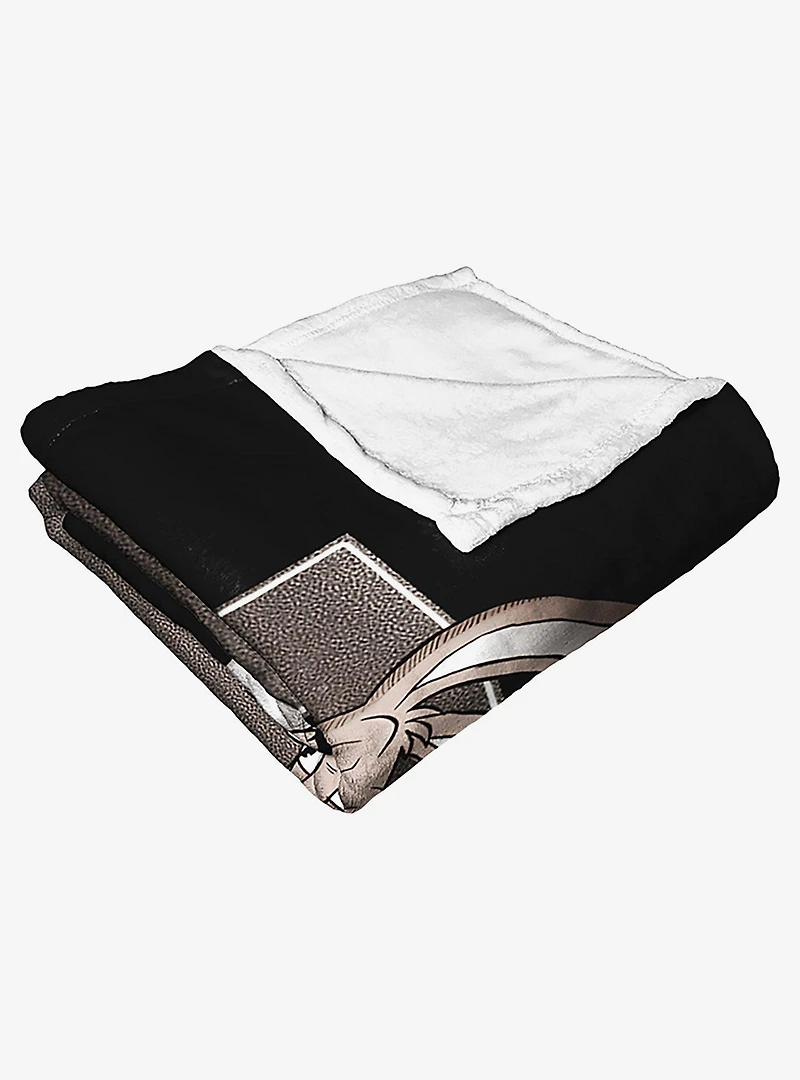 WB 100 Looney Tunes Usual Suspects Silk Touch Throw