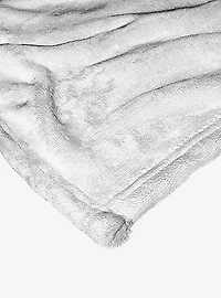 WB 100 Looney Tunes Timeless Silk Touch Throw