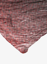 Game Of Thrones Daenerys Season Four Silk Touch Throw Blanket