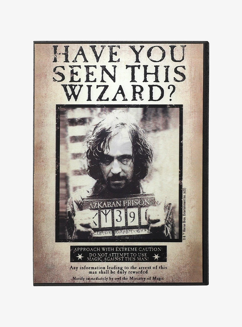 Harry Potter Sirius Black Have You Seen This Wizard Lenticular Wall Art