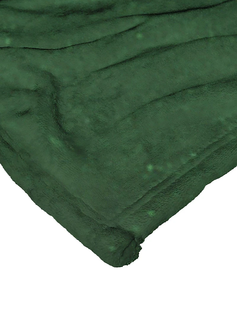 The Polar Express Round Trip Silk Touch Throw Blanket