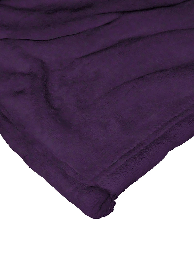 WB 100 DC Batman The Joker Clown Prince Silk Touch Throw
