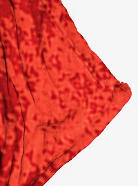 Dungeons & Dragons Fantasy Game Silk Touch Throw Blanket