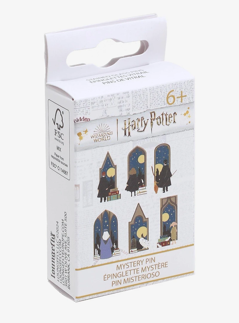 Loungefly Harry Potter Character Window Portraits Blind Box Enamel Pin - BoxLunch Exclusive