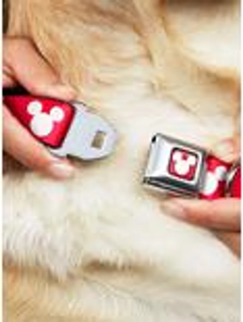 Disney Mickey Mouse Ears Icon Seatbelt Buckle Dog Collar